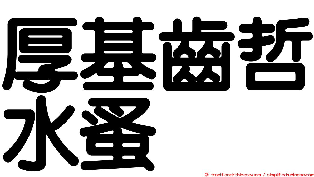 厚基齒哲水蚤