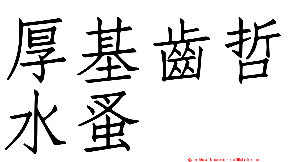 厚基齒哲水蚤