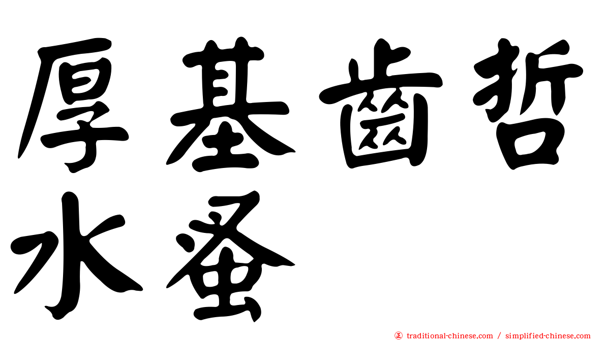 厚基齒哲水蚤