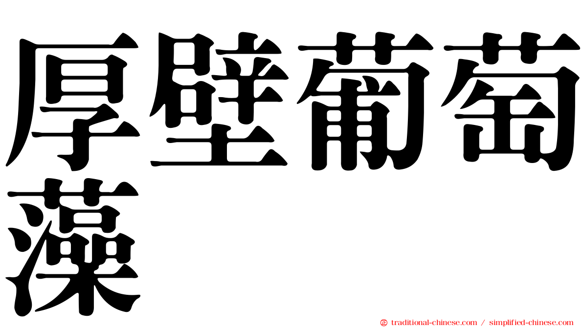 厚壁葡萄藻