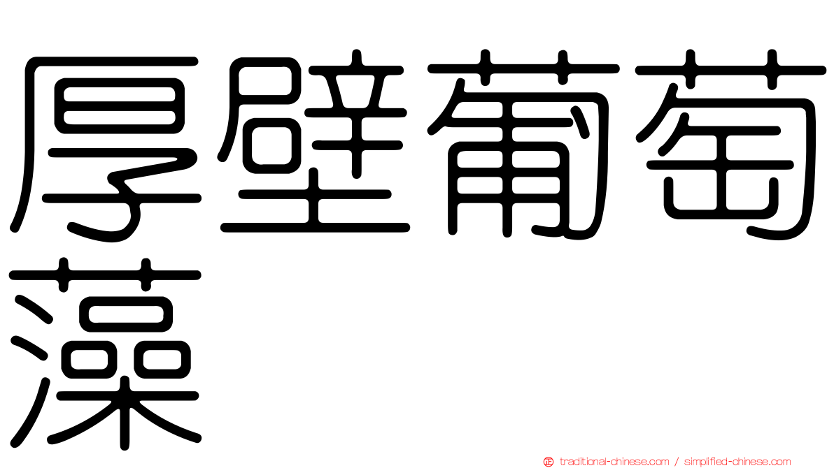 厚壁葡萄藻