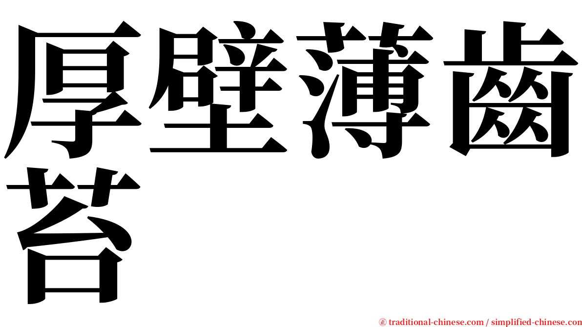 厚壁薄齒苔 serif font