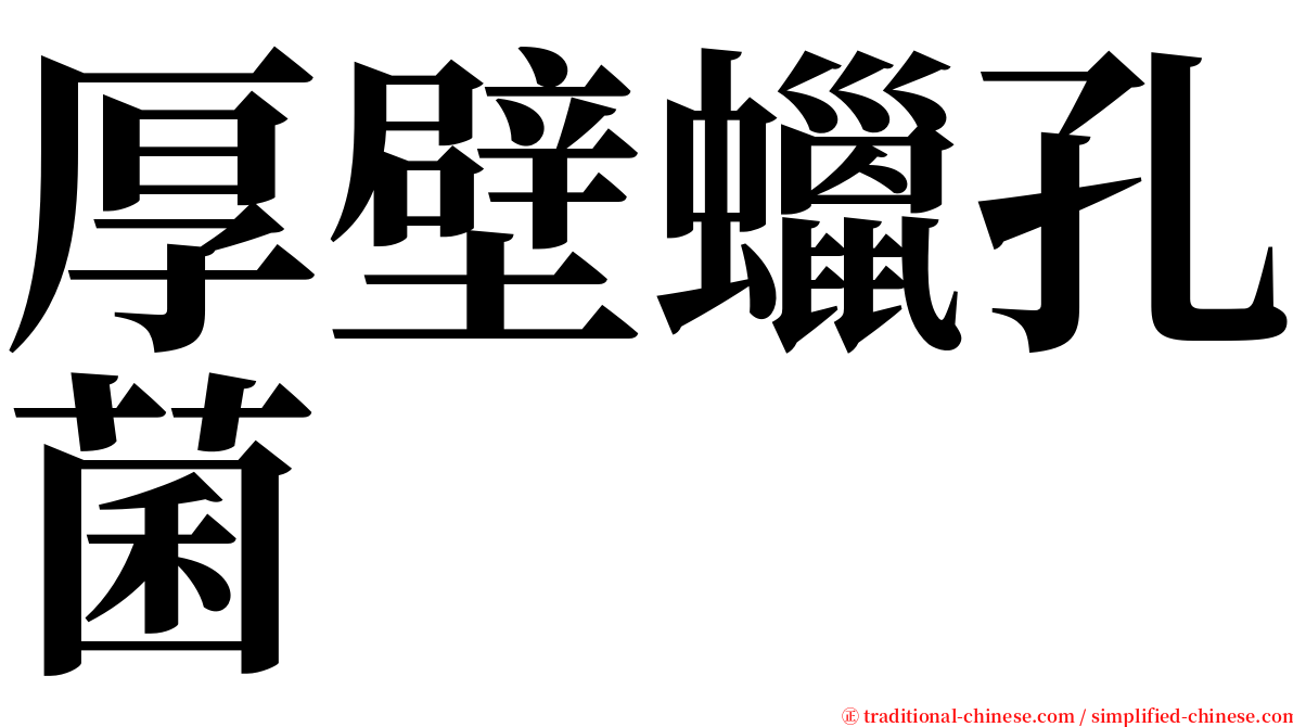 厚壁蠟孔菌 serif font