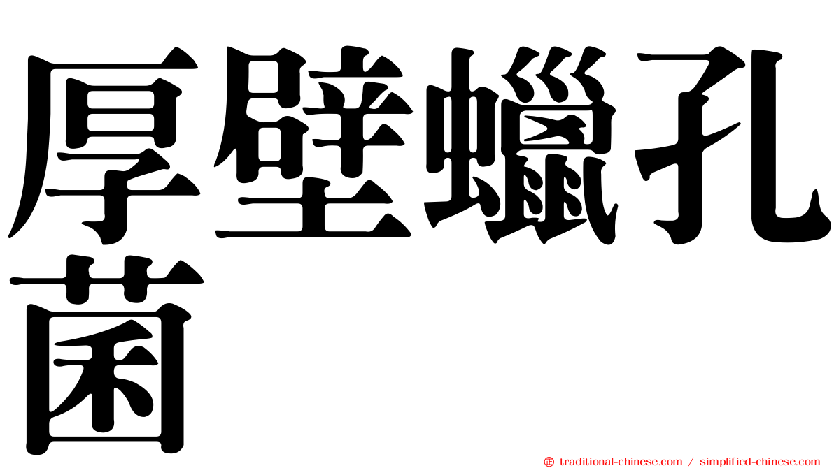 厚壁蠟孔菌