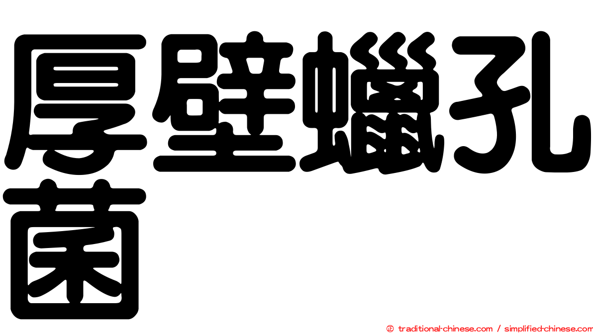 厚壁蠟孔菌
