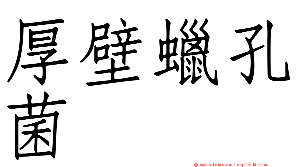 厚壁蠟孔菌