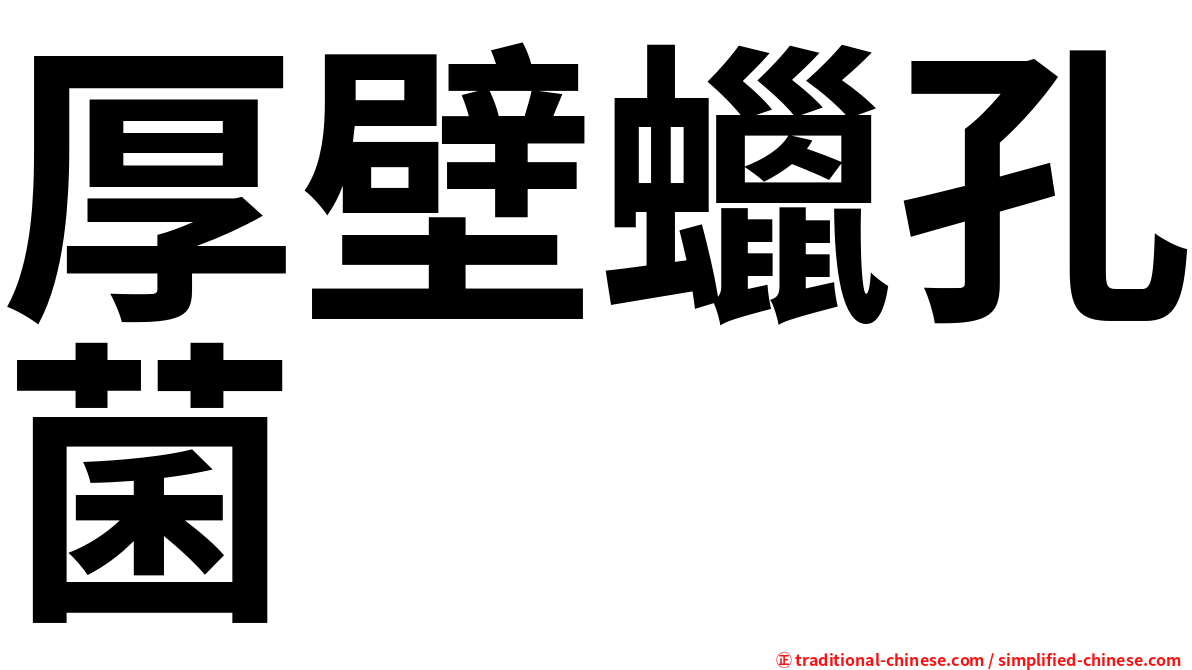 厚壁蠟孔菌