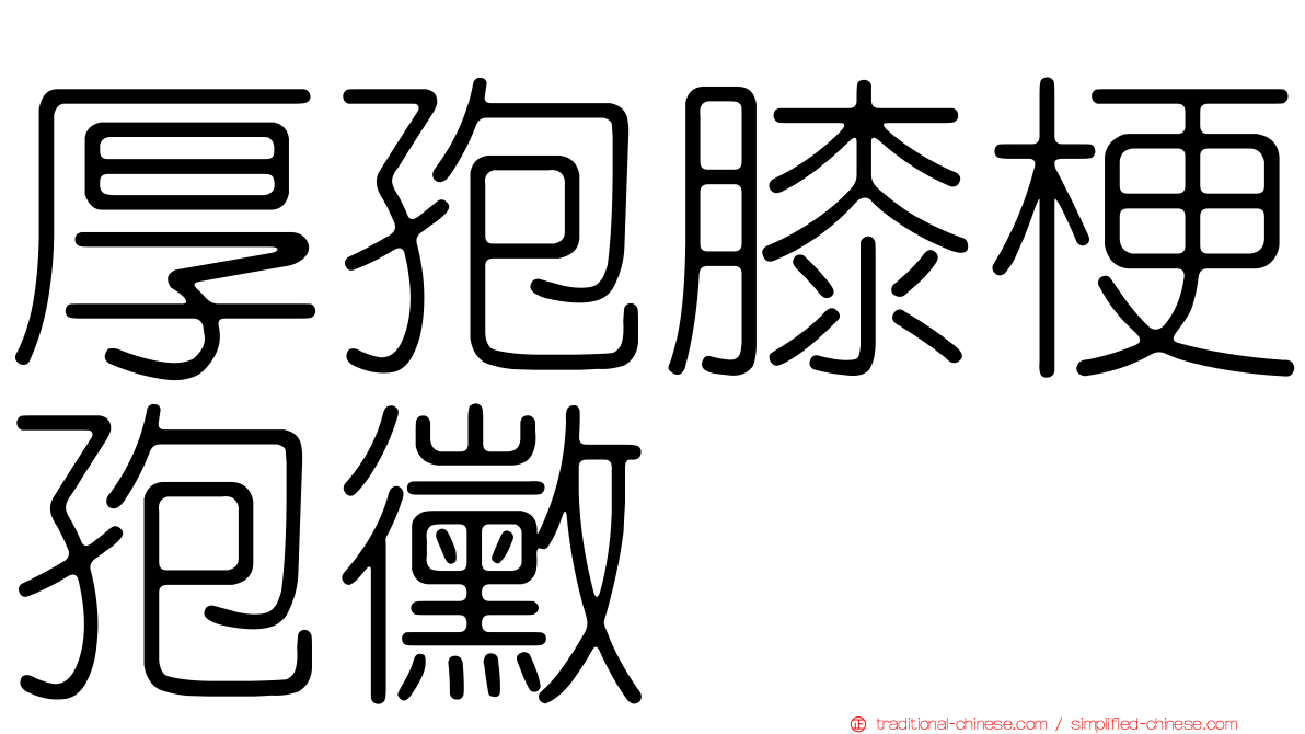 厚孢膝梗孢黴