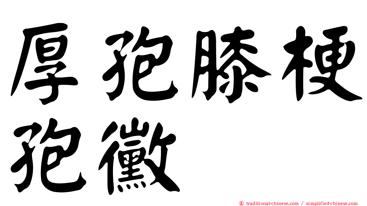 厚孢膝梗孢黴
