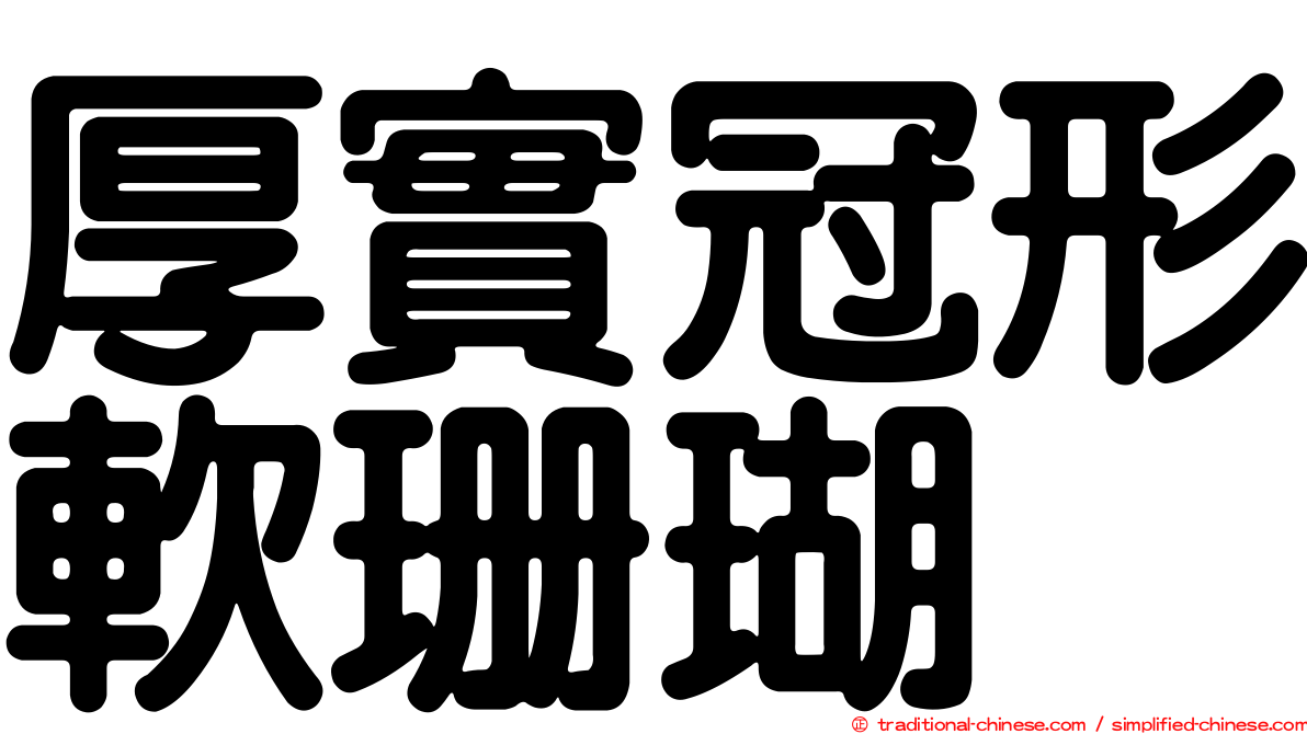 厚實冠形軟珊瑚