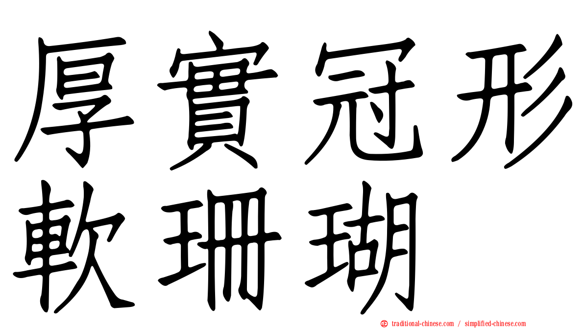 厚實冠形軟珊瑚