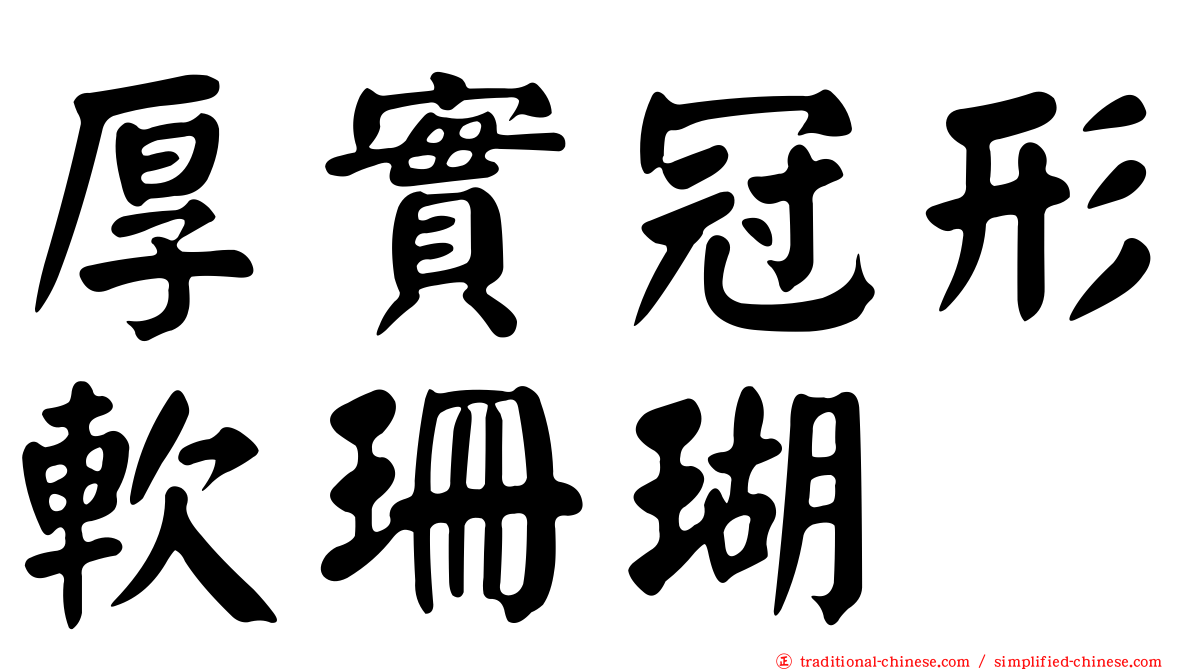 厚實冠形軟珊瑚