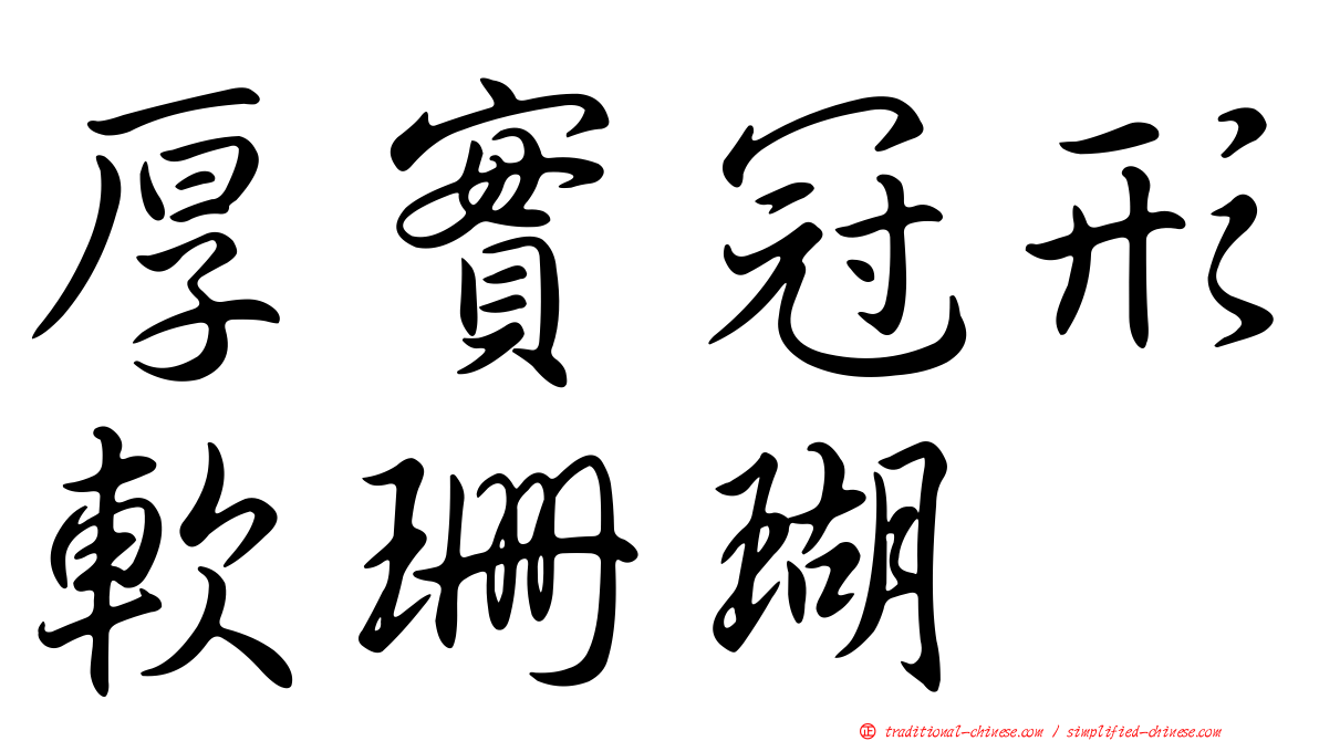 厚實冠形軟珊瑚