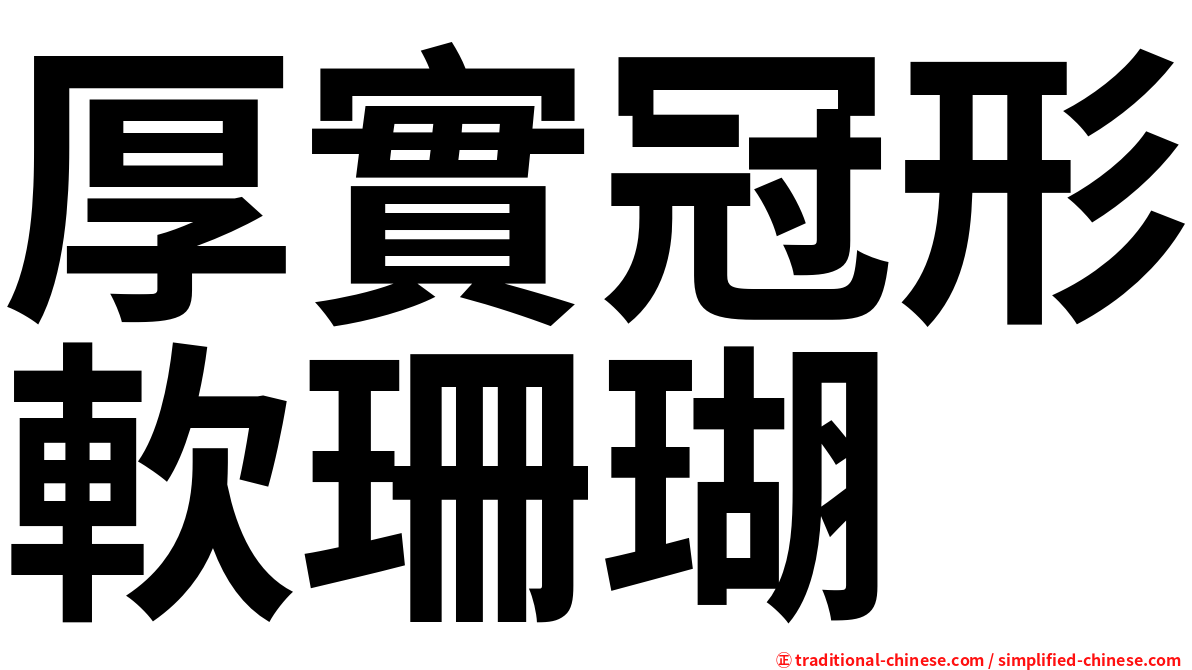 厚實冠形軟珊瑚