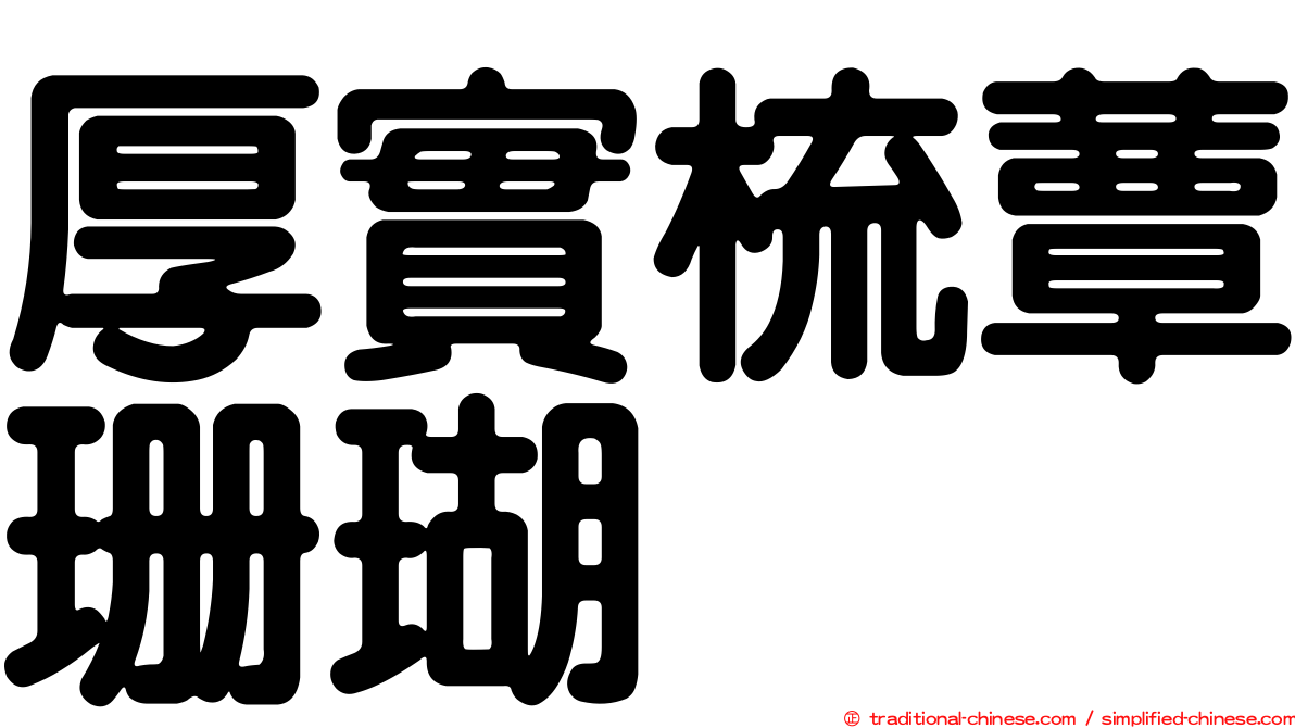 厚實梳蕈珊瑚