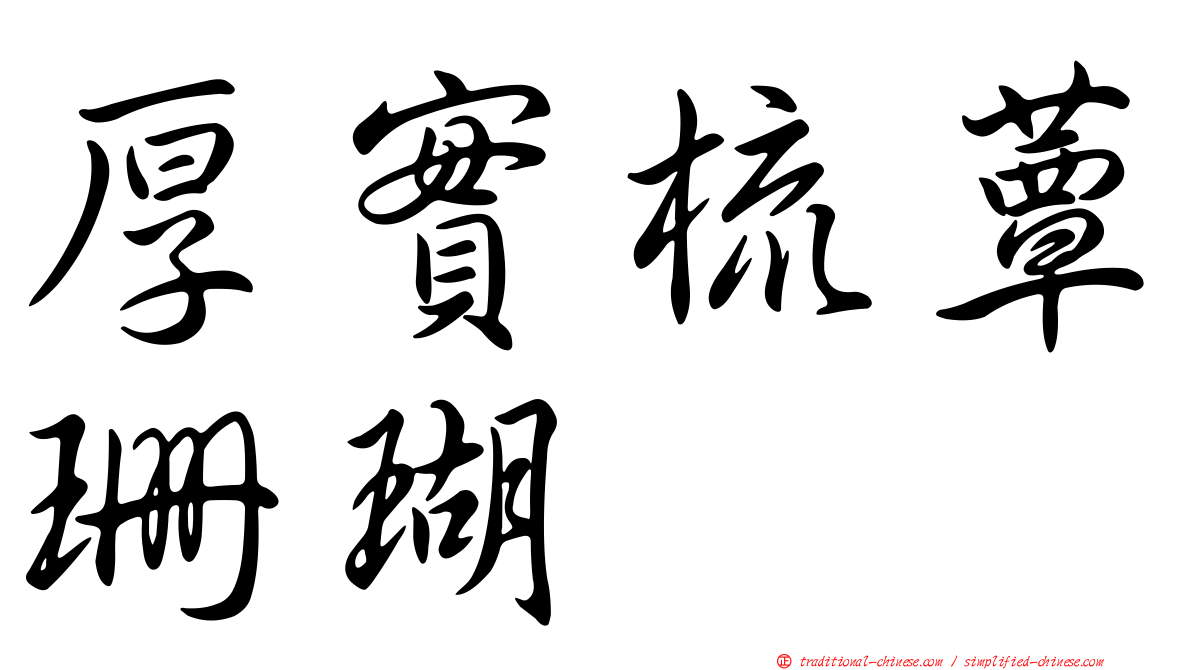 厚實梳蕈珊瑚