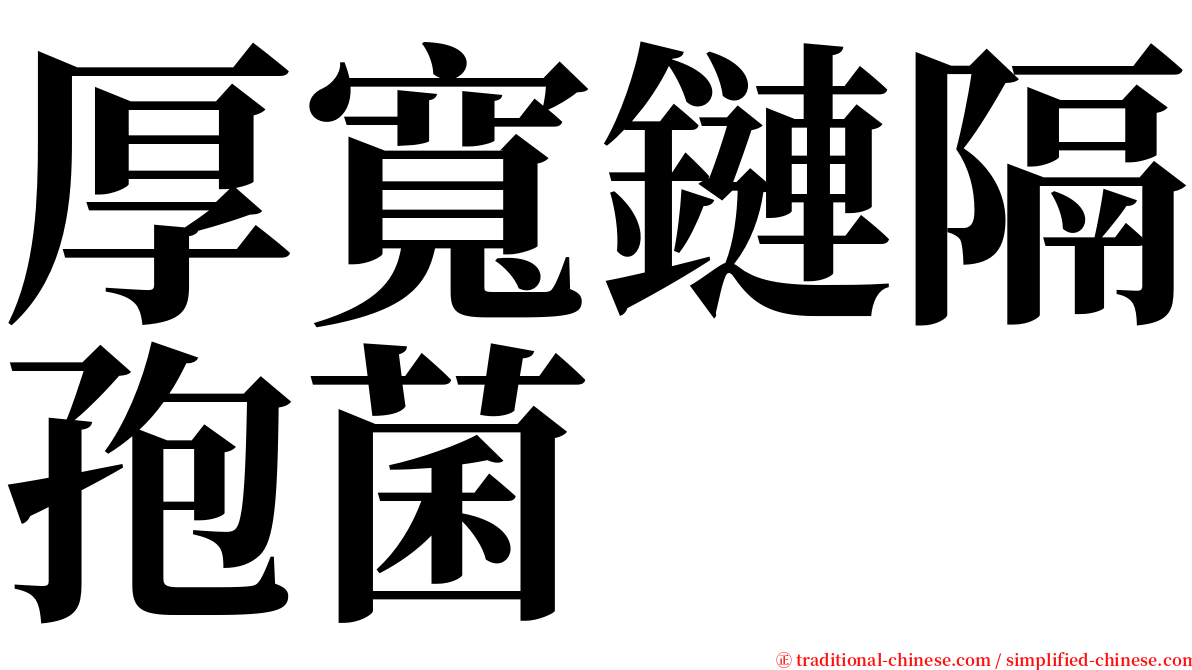 厚寬鏈隔孢菌 serif font