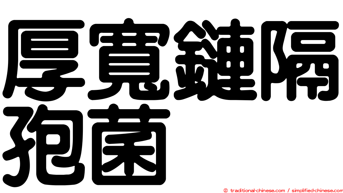 厚寬鏈隔孢菌