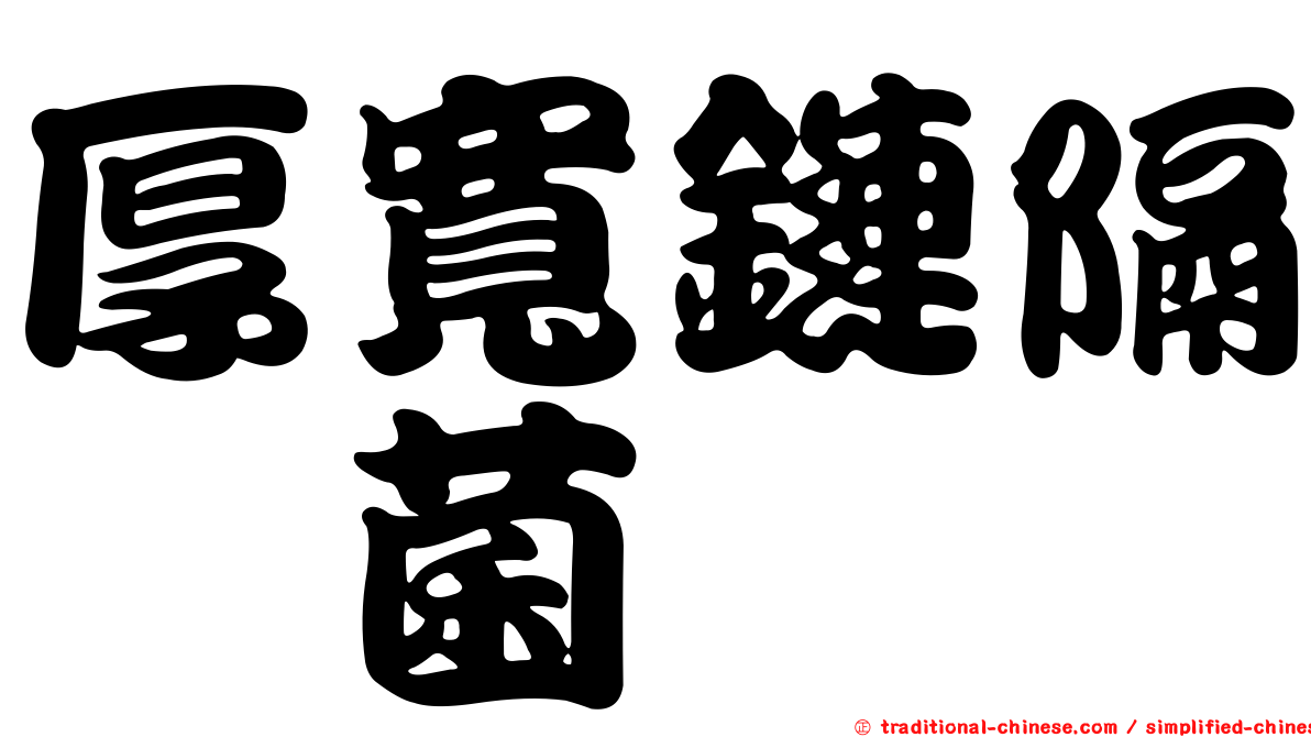 厚寬鏈隔孢菌