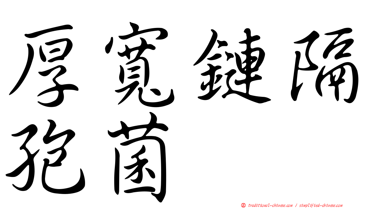 厚寬鏈隔孢菌