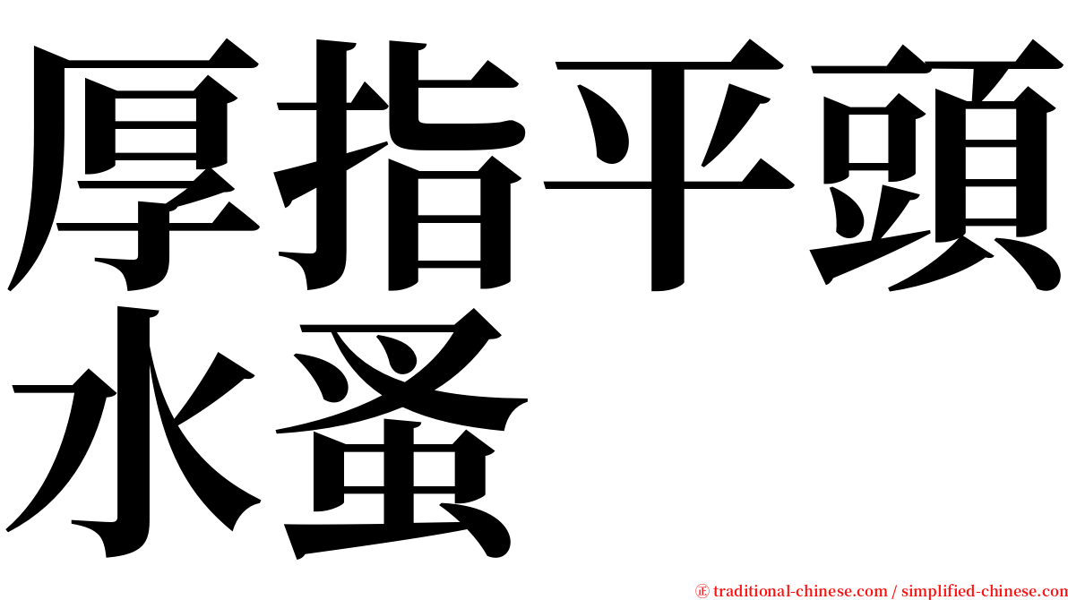 厚指平頭水蚤 serif font