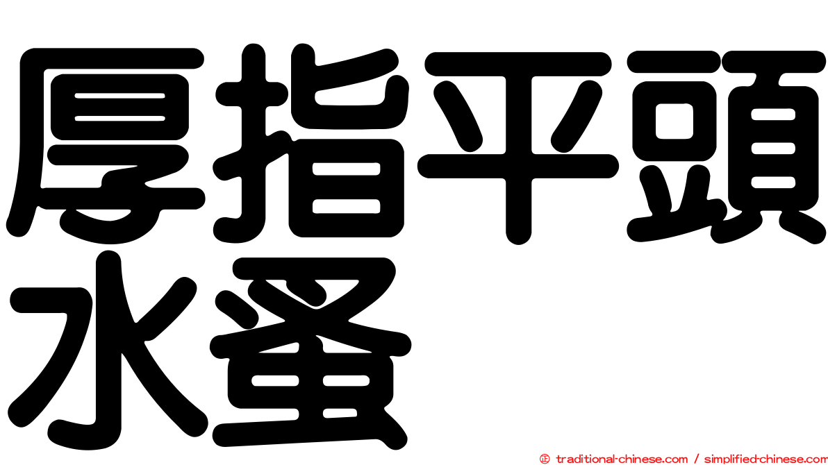 厚指平頭水蚤