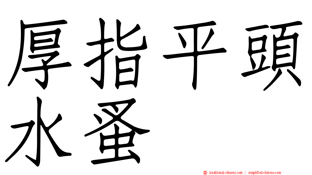 厚指平頭水蚤