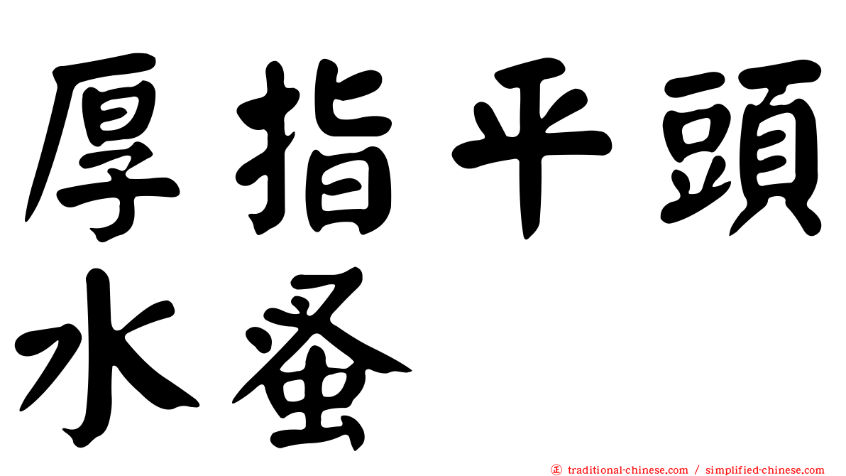 厚指平頭水蚤