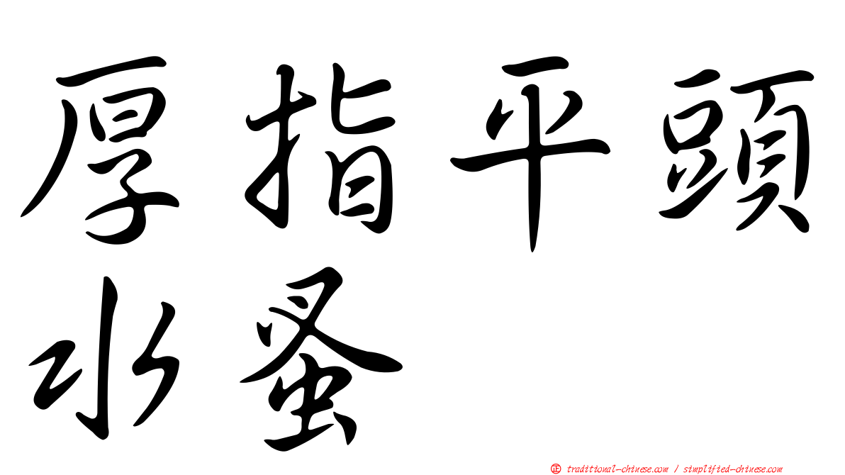 厚指平頭水蚤