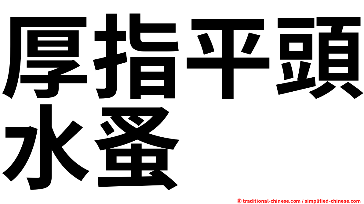 厚指平頭水蚤