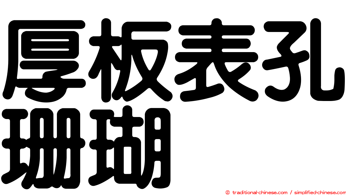 厚板表孔珊瑚