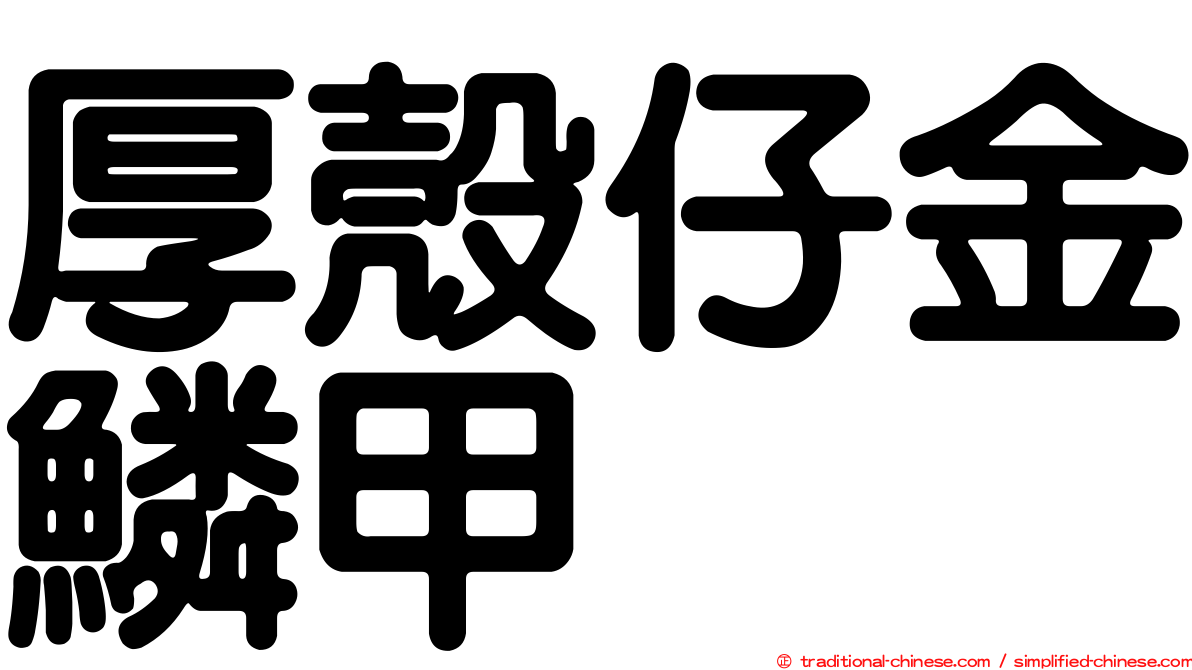 厚殼仔金鱗甲