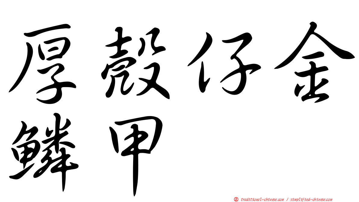 厚殼仔金鱗甲