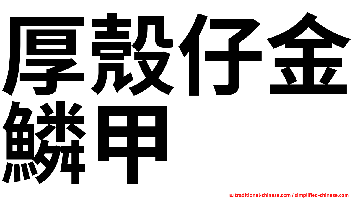 厚殼仔金鱗甲