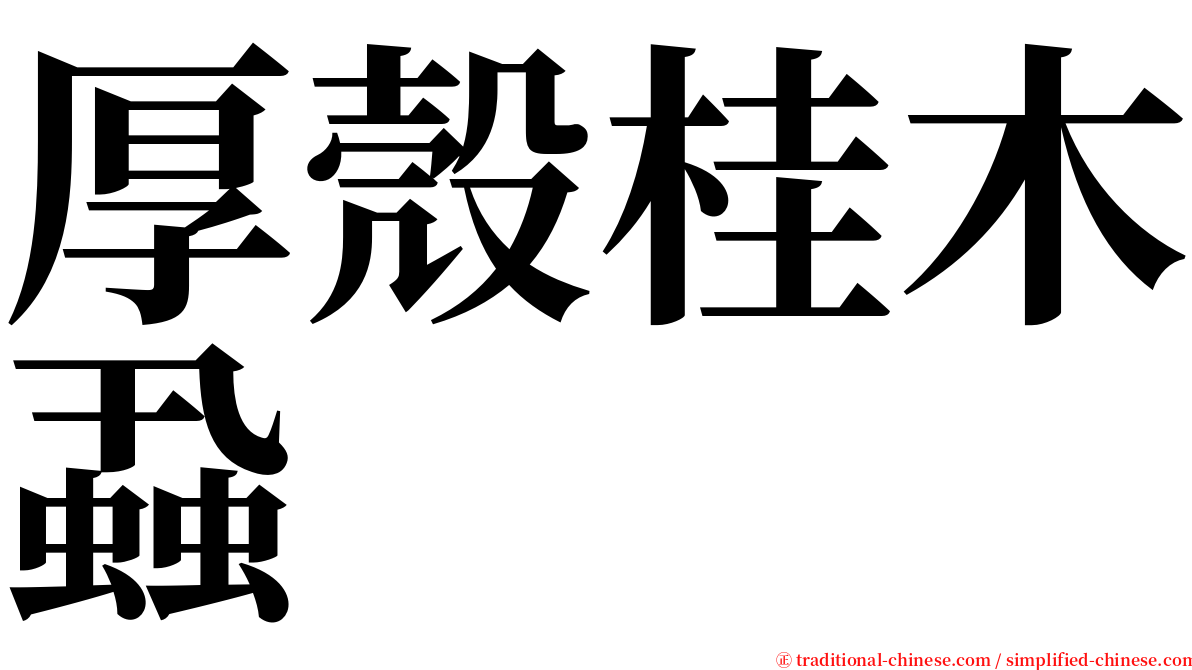 厚殼桂木蝨 serif font