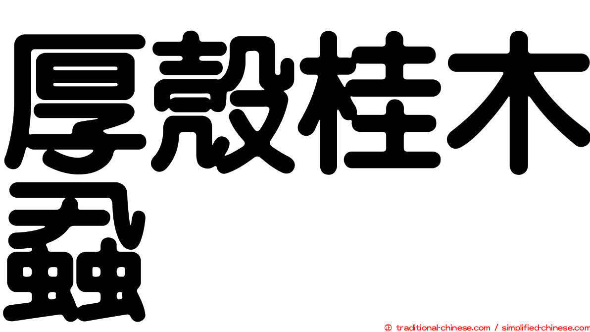厚殼桂木蝨