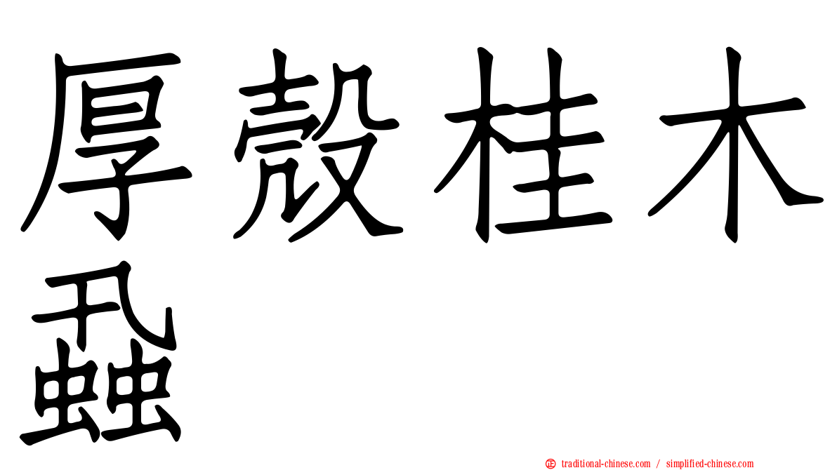 厚殼桂木蝨