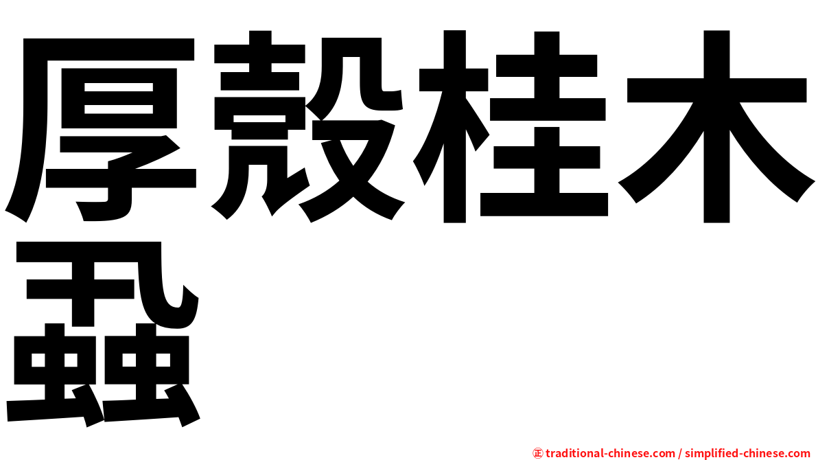 厚殼桂木蝨