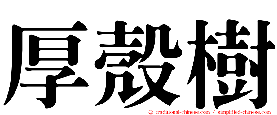 厚殼樹