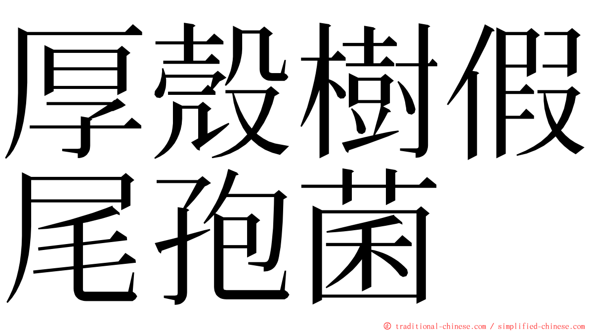 厚殼樹假尾孢菌 ming font