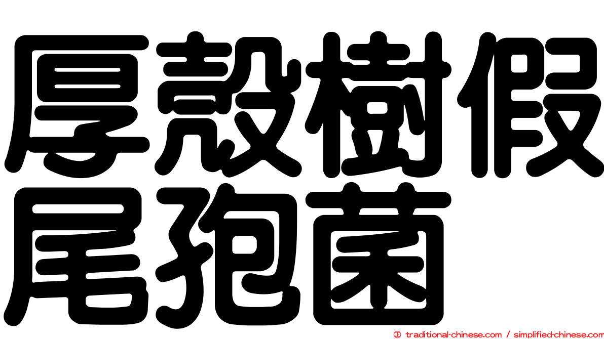 厚殼樹假尾孢菌