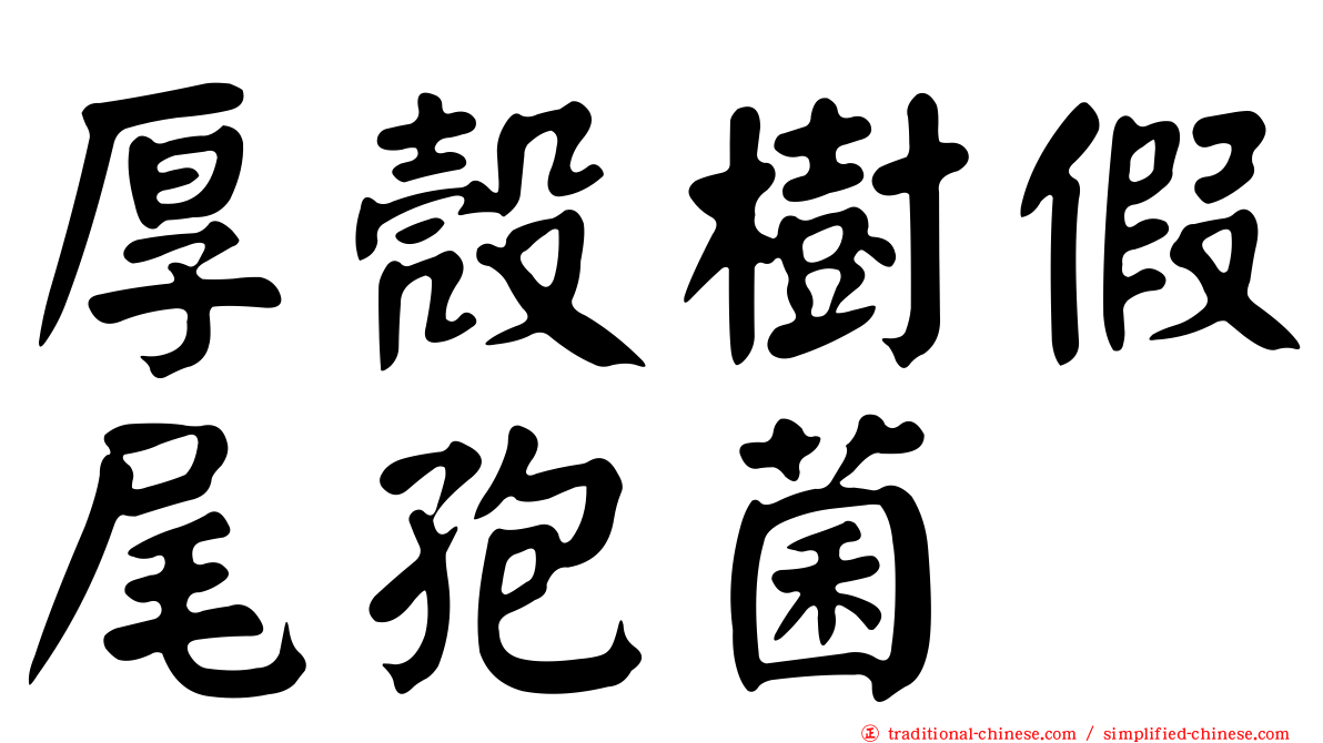 厚殼樹假尾孢菌