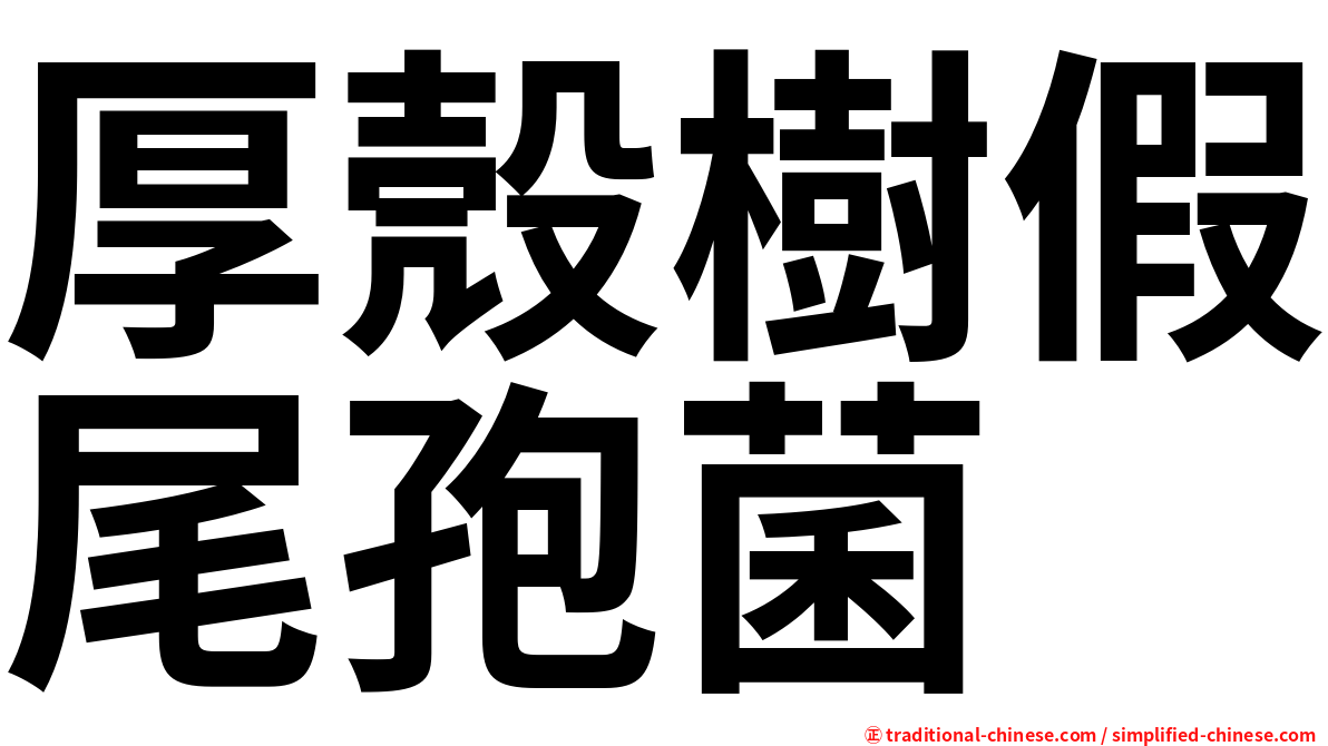 厚殼樹假尾孢菌