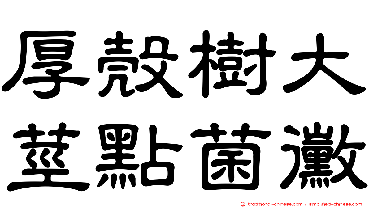 厚殼樹大莖點菌黴