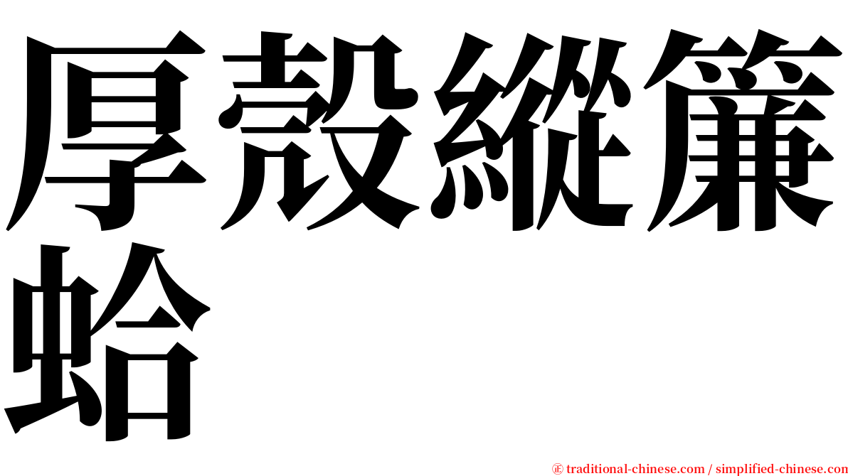 厚殼縱簾蛤 serif font