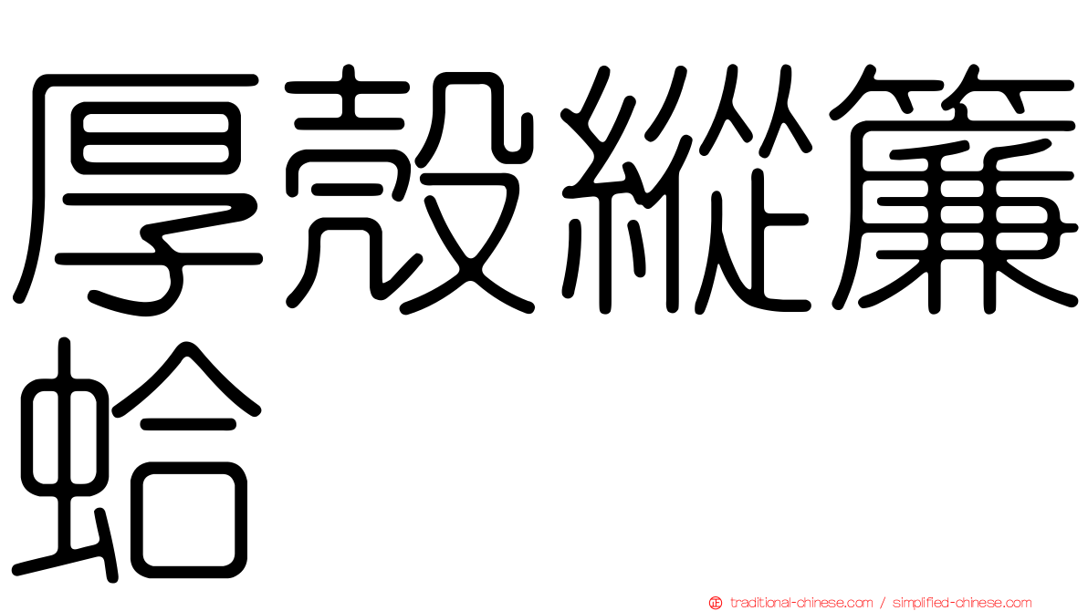 厚殼縱簾蛤