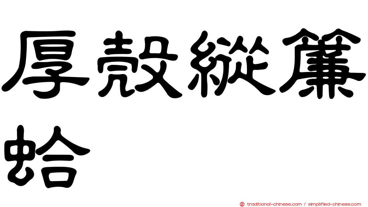 厚殼縱簾蛤