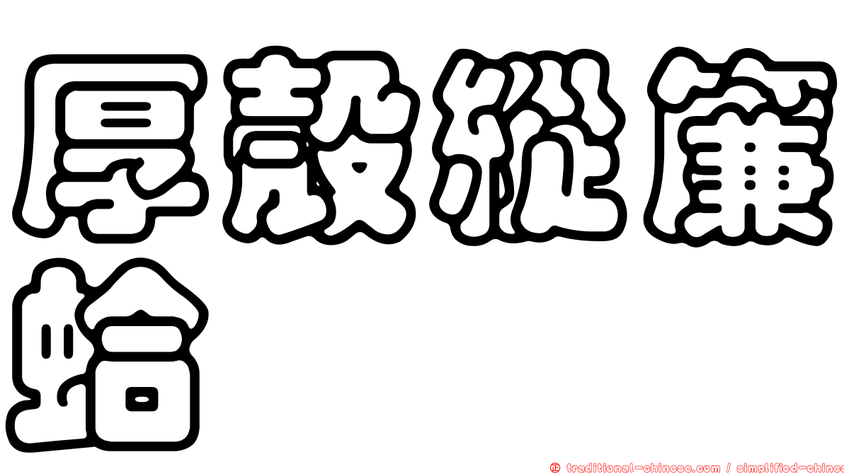 厚殼縱簾蛤
