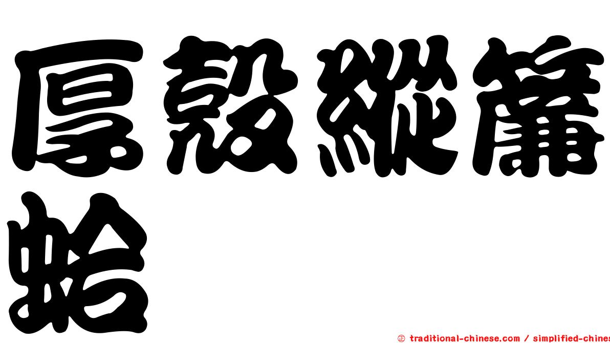 厚殼縱簾蛤