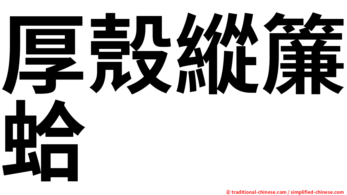 厚殼縱簾蛤